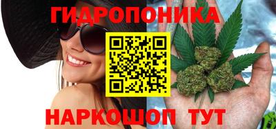 ПСИЛОЦИБИНОВЫЕ ГРИБЫ Краснодар
