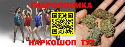 ПСИЛОЦИБИНОВЫЕ ГРИБЫ Краснодар
