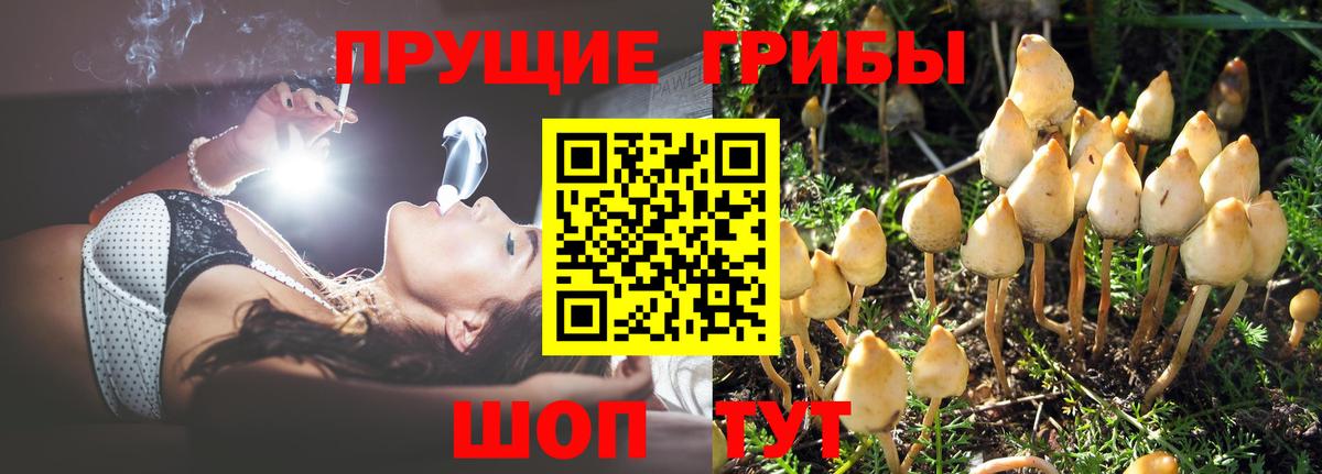 Галлюциногенные грибы мицелий Кировск