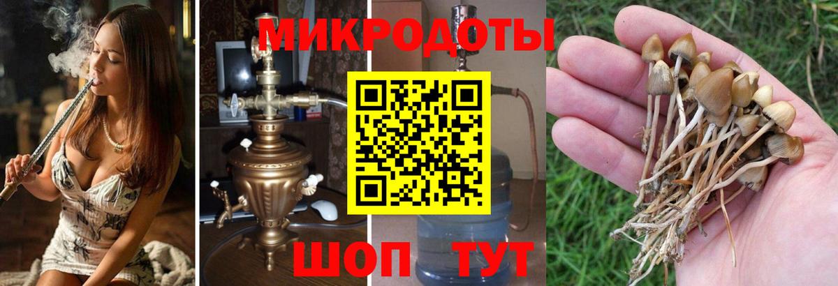 Псилоцибиновые грибы MAGIC MUSHROOMS  Галлюциногенные грибы GOLDEN TEACHER  Вход с VPN  Кировск 